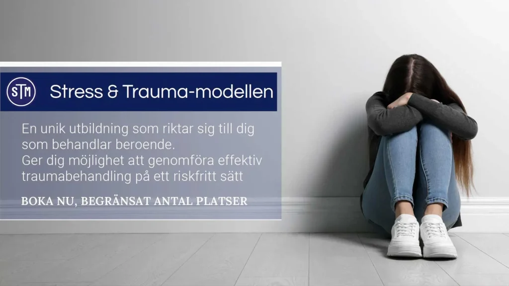 stress och trauma-modellen